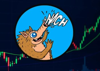 Umelá inteligencia odhaľuje, ako sa stať milionárom v XRP
