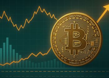 Bitcoin Binary CDD Confirms Long-Term Confidence: Strong HODLer Conviction
