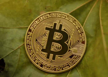 Il Trader Bitcoin che Ha Perso 100 Milioni di Dollari è Tornato