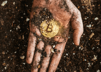 Bitcoin dell’Era Satoshi Ancora Influenzano il Mercato: Parla un Analista