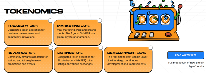 A third of Hyper's funds go towards supporting the L2 and DAO.
