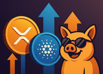 XRPとCardano急騰の今、注目すべき仮想通貨 プレセール：次に爆発するのはSnorterか