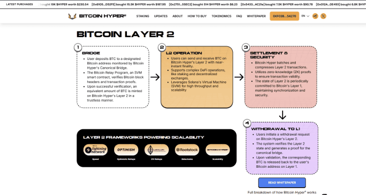 Moderni bridge sistema