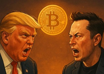 머스크의 친비트코인 아메리카당 창당 소식에 트럼프 일침… BTC 불 토큰에 호재