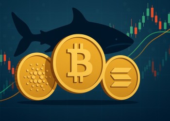 ベスト仮想通貨 投資：クジラが8月の利益を狙って買っている銘柄とは