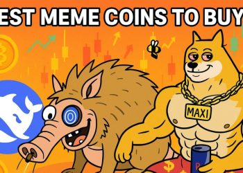 Here Are 4 Meme Coins That Deepseek Thinks Could Skyrocket This Year