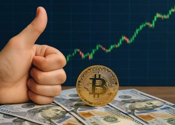 仮想通貨 おすすめ | いま1,000ドル（約15万6,000円）で買うべき最も賢明な暗号資産