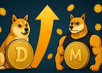 鯨がDOGEを買い集める一方、スマートマネーは仮想通貨 1000倍狙いのMaxi Dogeへ