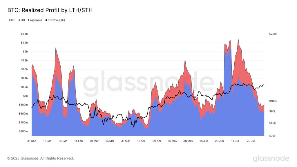 BTC 実現利益 LTH STH (Glassnode)
