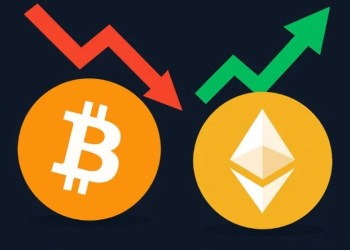 비트코인에서 알트코인으로 자본이 회전 중인 지금, 구매할 만한 유망 코인은?