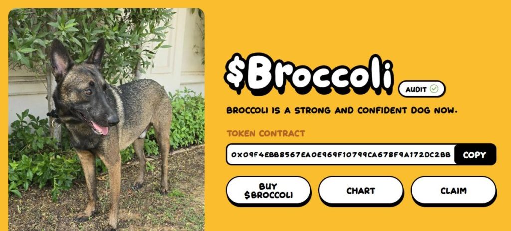 Broccoli ($BCL) 価格予測に影響する要素