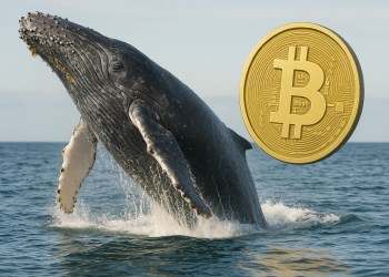Bitfinex whale koopt dagelijks 300 BTC - grote Bitcoin koerswisseling op komst?
