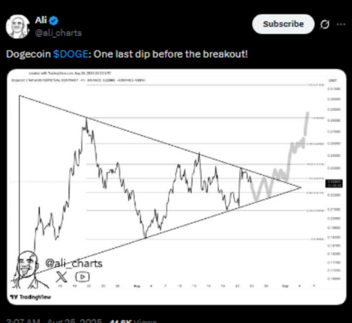 DOGE/USDT Perpetual Contract 4-hour price chart