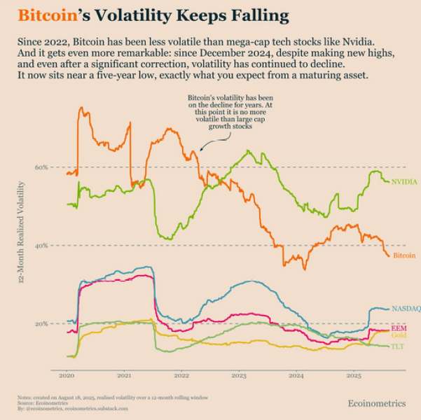 Ecoinometric&rsquo;s chart on Bitcoin&rsquo;s failing volatility.