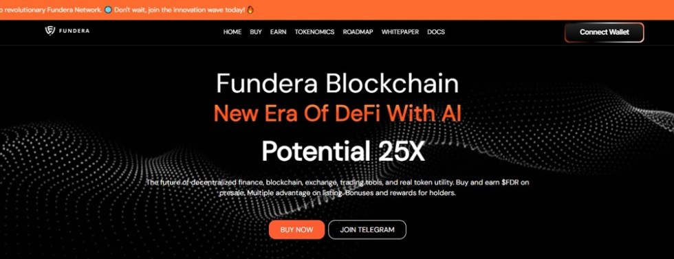 Fundera System ($FDR) とは