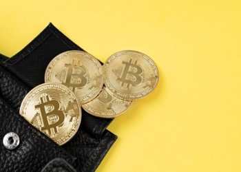 Máte 1 000 $? 3 kryptomeny, ktoré sa oplatí kúpiť a držať celé desaťročia