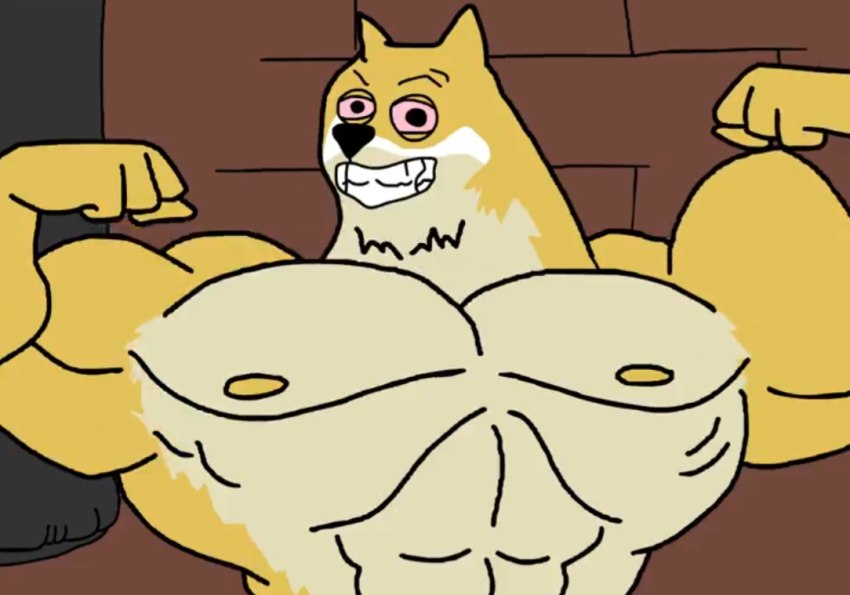 Maxi Doge