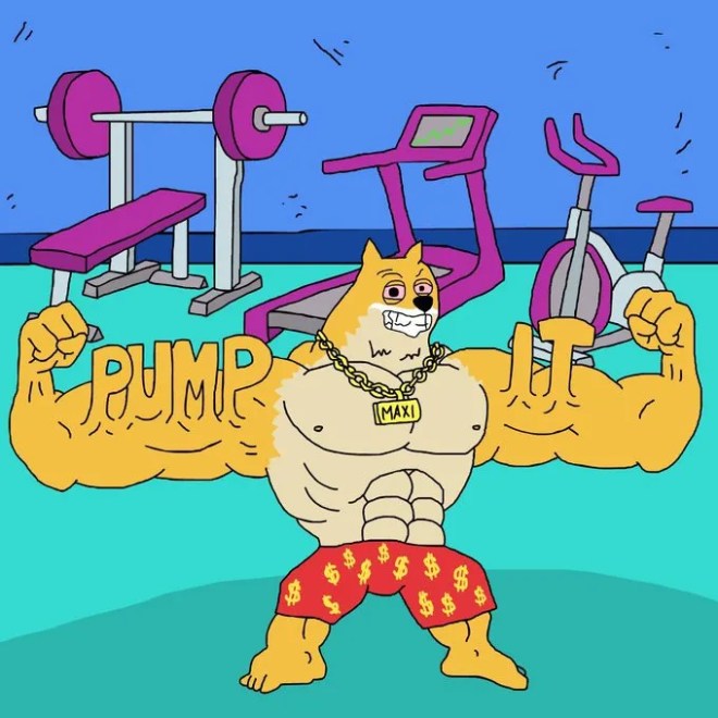 Maxi Doge vừa tập gym vừa săn chart