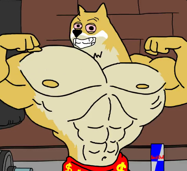 Maxi Doge