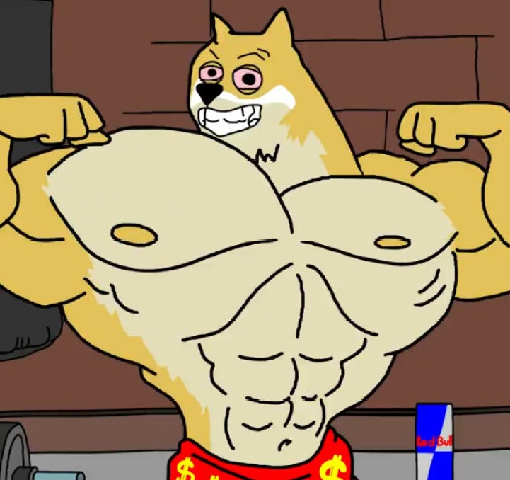 Maxi Doge