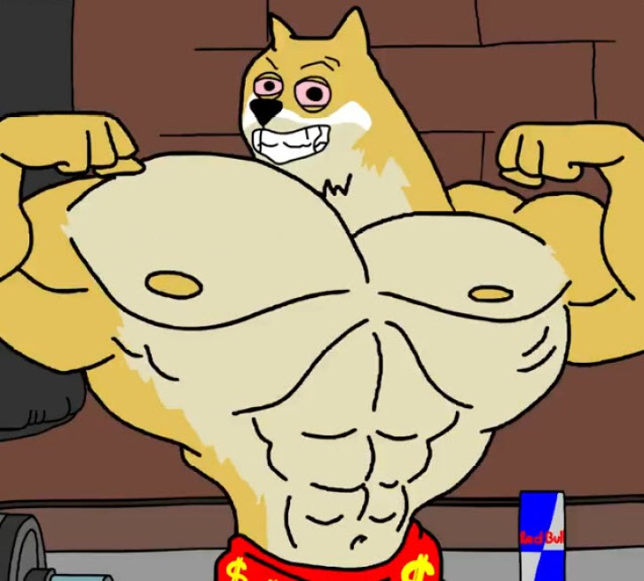 Maxi Doge