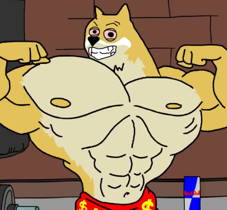 Maxi Doge