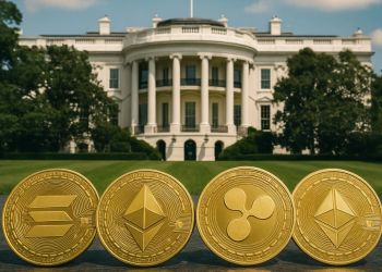 Chính sách mới từ Nhà Trắng có thể đẩy giá các đồng coin tiềm năng lên cao