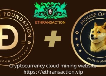 ETHRANSACTION Mining Service: Enabling Dogecoin Miners to Earn $22,800 Daily with Bitcoin (BTC)