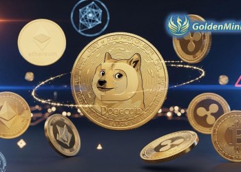 Seizing the potential of Dogecoin, golden mining earns Dogecoin holders $7,800 a day