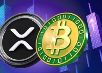 Investors Reap $3,777 Daily as XRP and BTC Set New Records, APT Miner Gains Traction