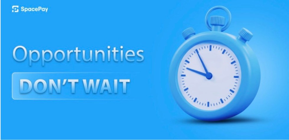 Can SpacePay (SPY) Presale Finally Solve the Crypto Volatility Problem for Merchants