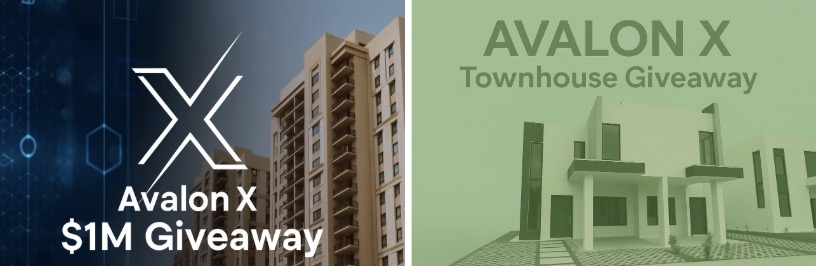 How Does Avalon X Provide Leveraged Real Estate Exposure?