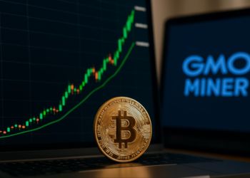 Bitcoin Price Surges