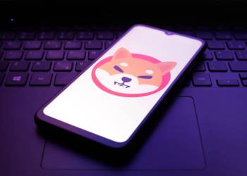 Shiba Inu Open Interest Crashes From $328 Million July Peak To $190 Million, What’s Going On?