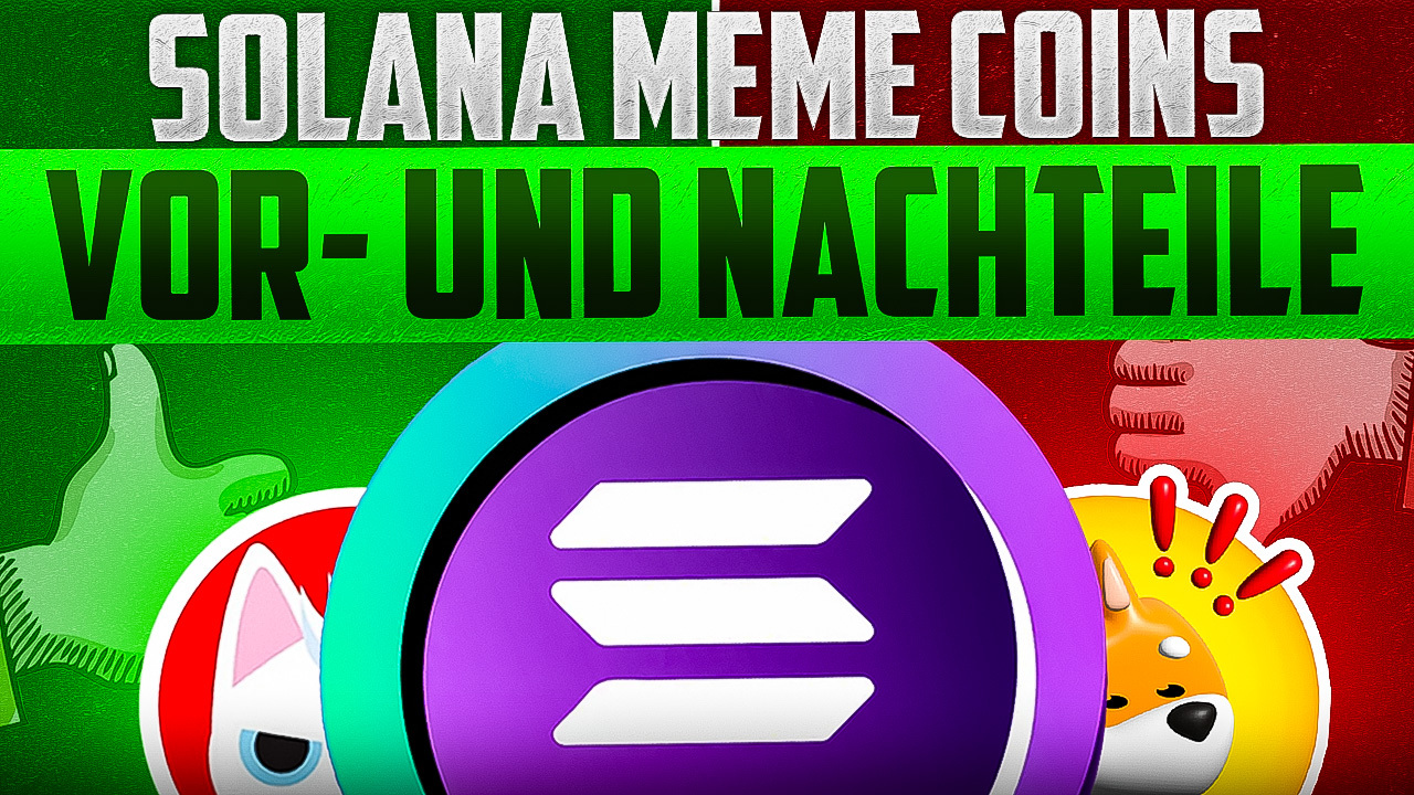 Solana Meme Coins Vor- und Nachteile