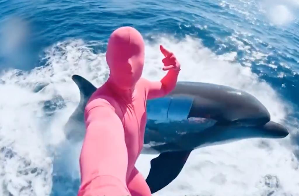 TOKEN6900 เหรียญมีมตัวใหม่มาแรง! เตรียมเปิดตัวใน 5 วัน