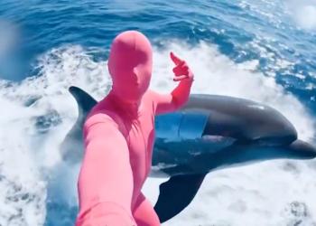 TOKEN6900 เหรียญมีมตัวใหม่มาแรง! เตรียมเปิดตัวใน 5 วัน