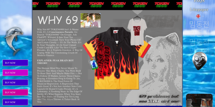 TOKEN6900’s throwback website graphics.