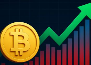 Is Bitcoin Bull Run Nearing Its End? LTH Conviction Is Strong But STH Pressure Builds