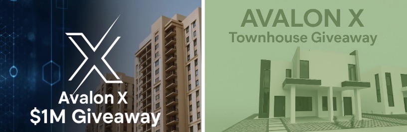 Why is AVLX “digital real estate with leverage”