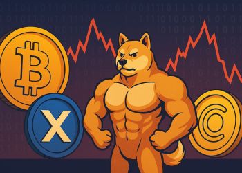 暴落時に狙うべき仮想通貨 プレセール：Bitcoin Hyper、Maxi Doge、SUBBD