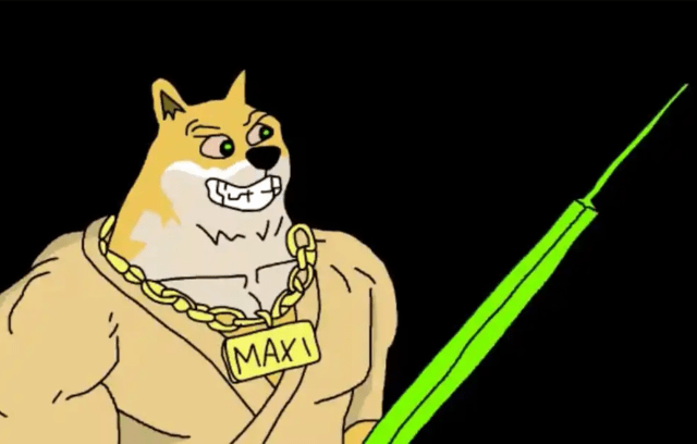 comprare maxi doge - conclusioni