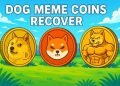 Dog Meme Coin Market Recovers as Maxi Doge Breaks $300K During Presale