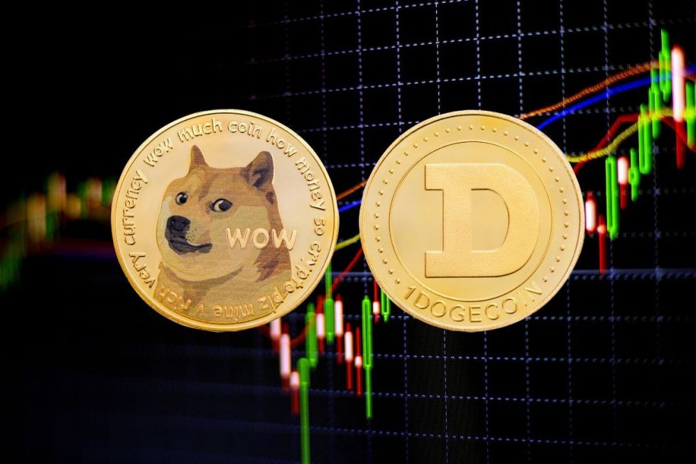 dogecoin token