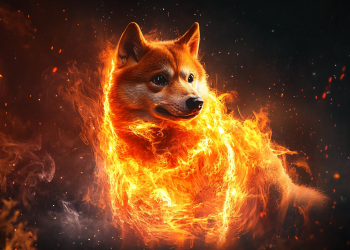 prevente-maxi-doge-2025