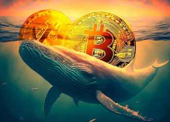 Co kupují, prodávají a drží organizace WHALES v kryptoměnách?