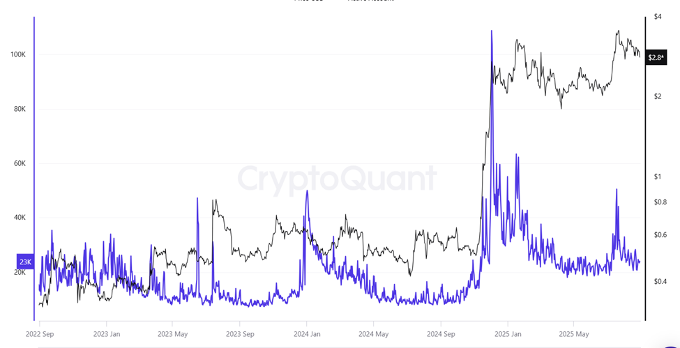 CryptoQuant XRP