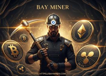BAY Miner l
