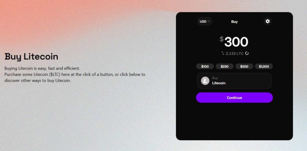 Litecoin saugojimas po įsigijimo