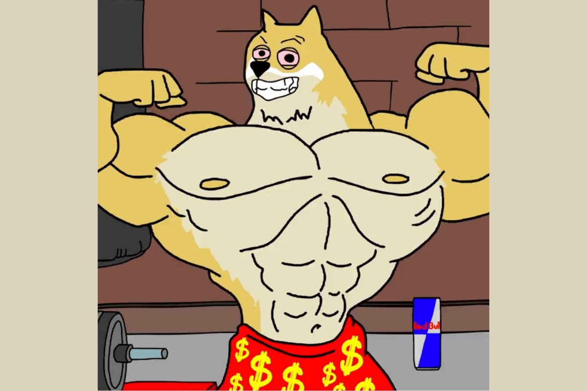 maxi doge